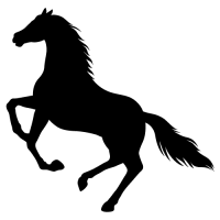 Logo Centre Équestre du Louvant