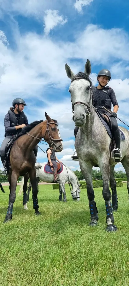 cours d equitation
