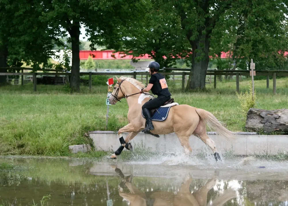 Concours-Complet-Cross