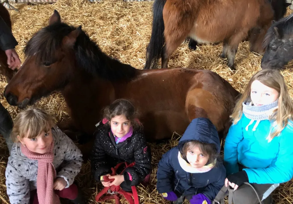 Cours-poney