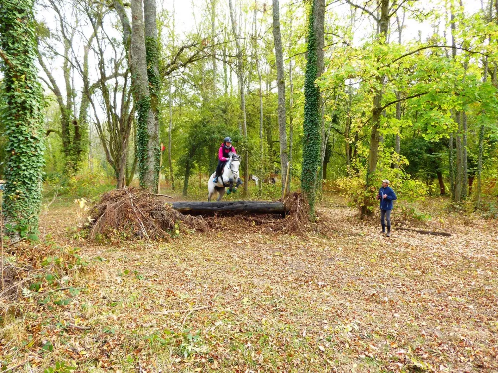 header-centre-equestre