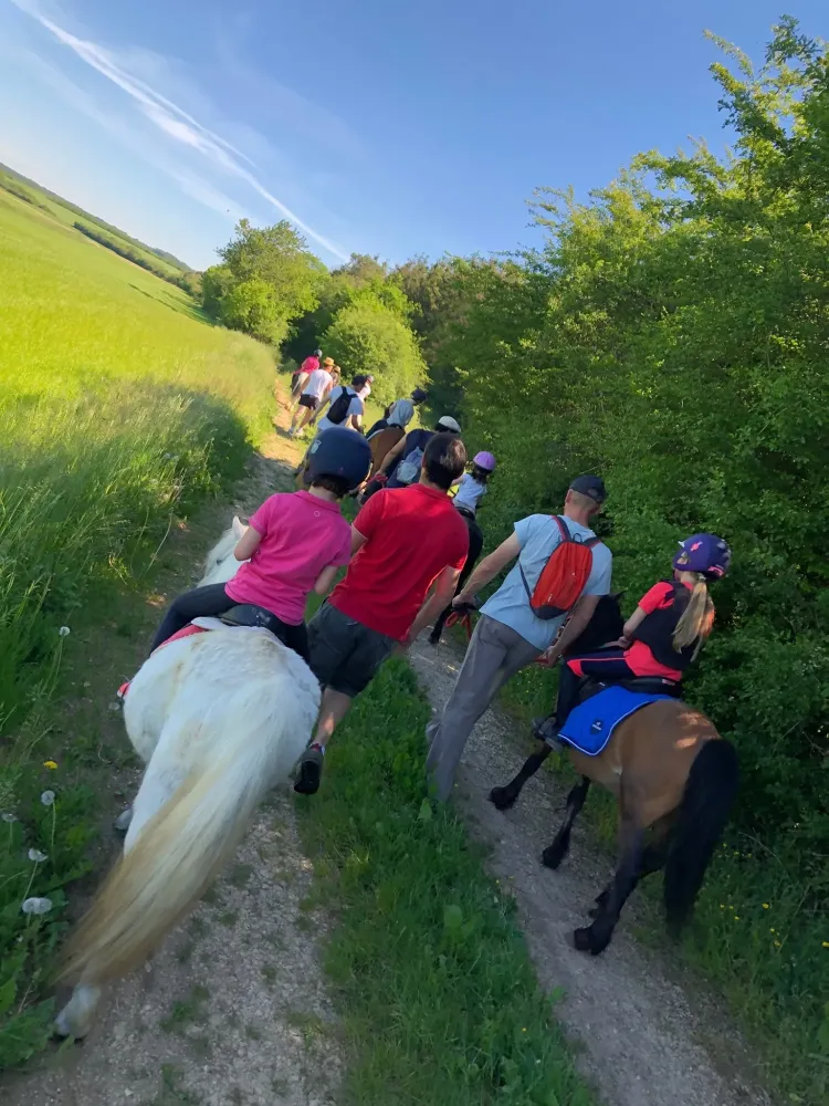 Balade-à-poney