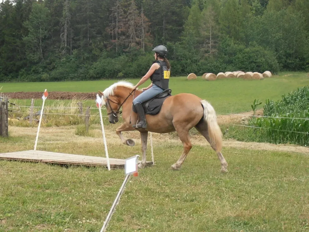 Sortie-TREC