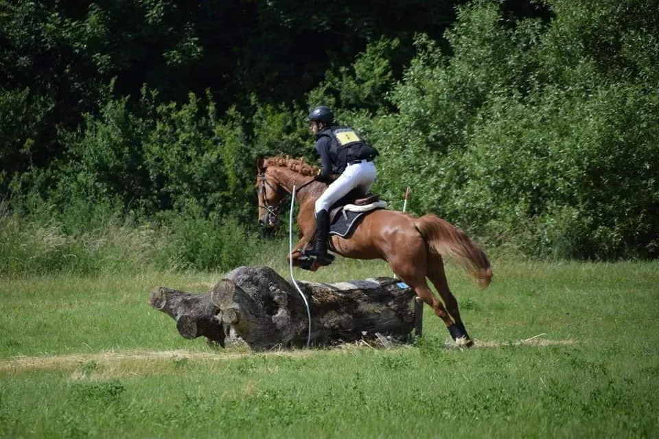 centre equestre du Louvant (4)