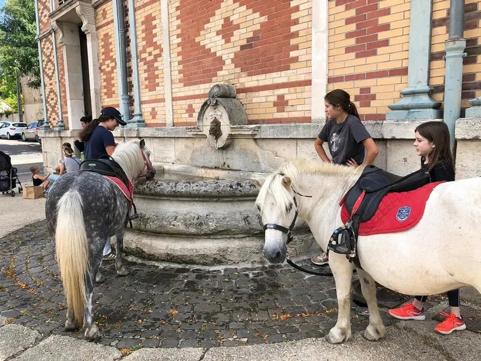 centre equestre du Louvant (6)