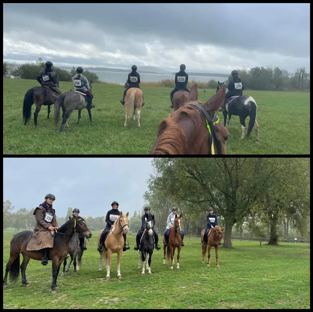 centre equestre du Louvant (15)