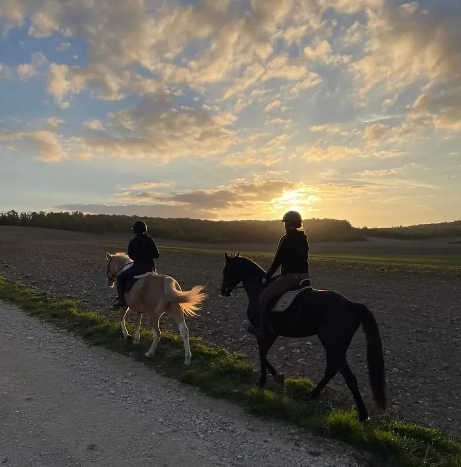centre equestre du Louvant (16)