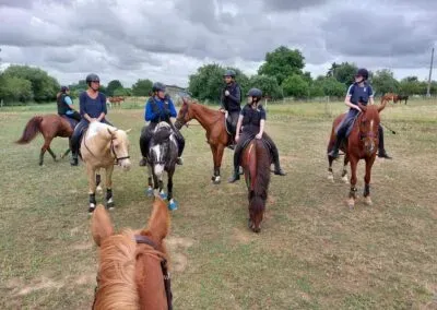 centre equestre du Louvant (1)